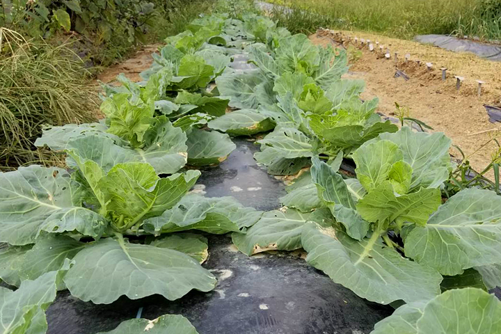 豆狸のスタッフが奮闘しています